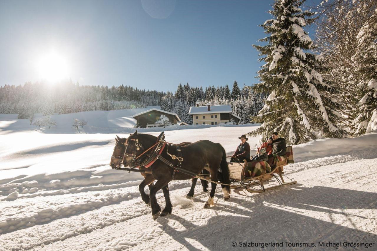 Hideaway Dachstein West By Alps Resorts Санкт-Мартин-ам-Тенненгебирге Экстерьер фото